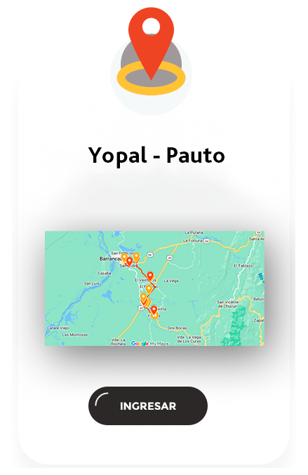 pauto